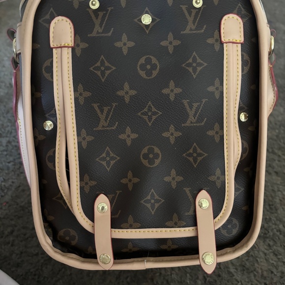 Louis Vuitton dog carrier - Picture 8 of 8
